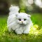 The Queen's Treasures White Long Hair Kitty Cat Pet For 18 Inch Dolls